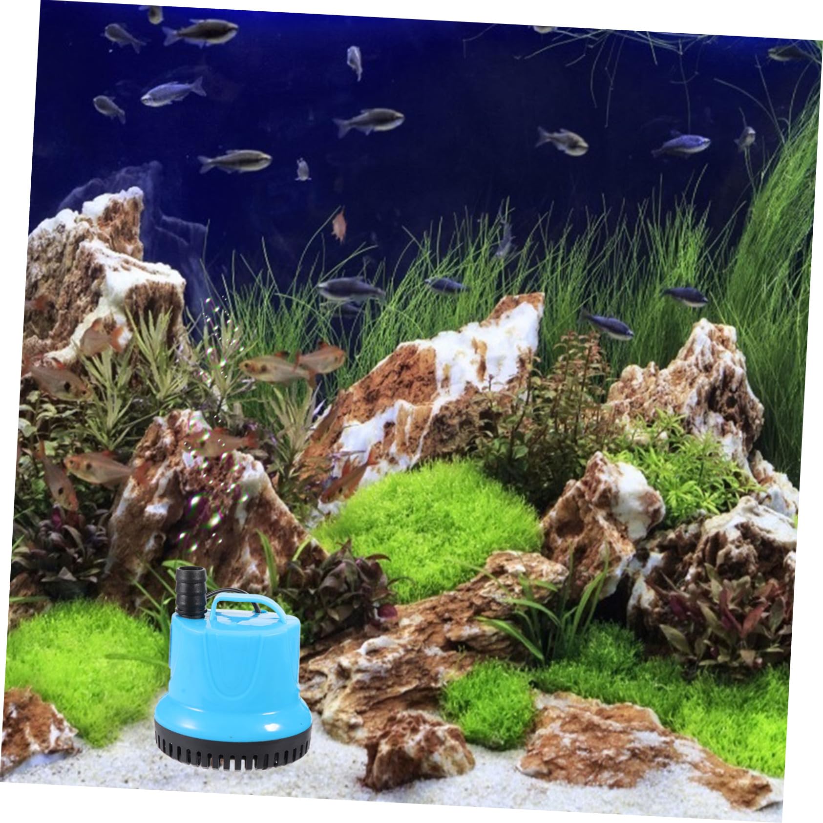 Kisangel 2stücke Nützliche Unterwasserpumpe Für Aquarien Zirkulationspumpe Mit Saugnäpfen Leise Und Installieren Für Fischbecken Und Hydroponik
