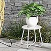 Product Photo 7