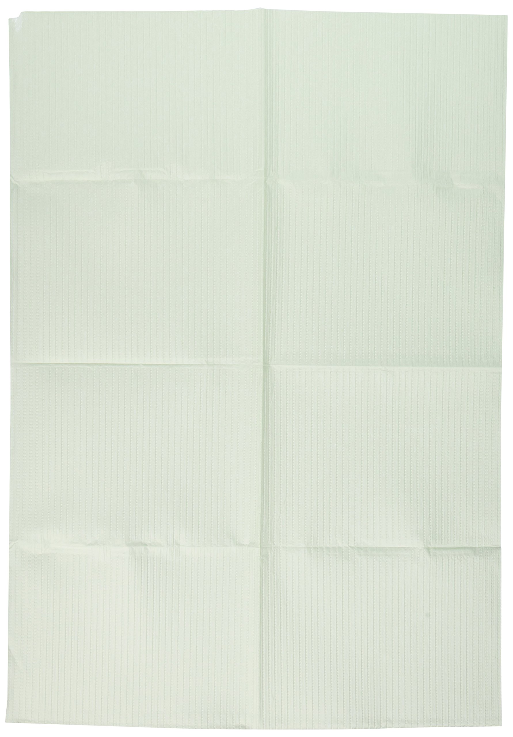 CrosstexWEXGR Econoback 2-ply Poly Patient Towel, Green (Pack of 500)