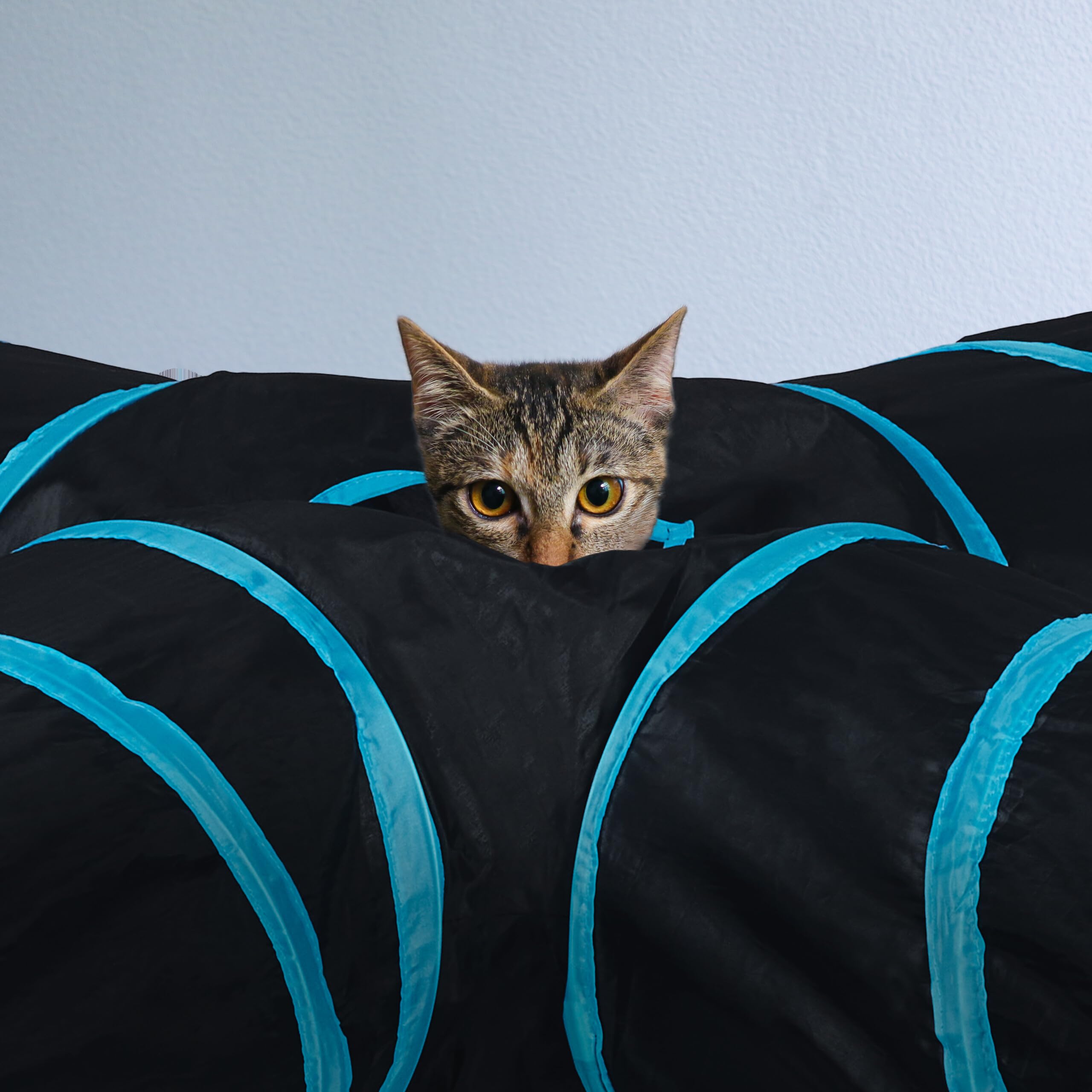 Relaxdays Tunnel pour Chat, 4 Voies, Pliable, HxLxP : env. 25x130x125 cm, Jouet interactif, Lapin Nain, Noir/Bleu