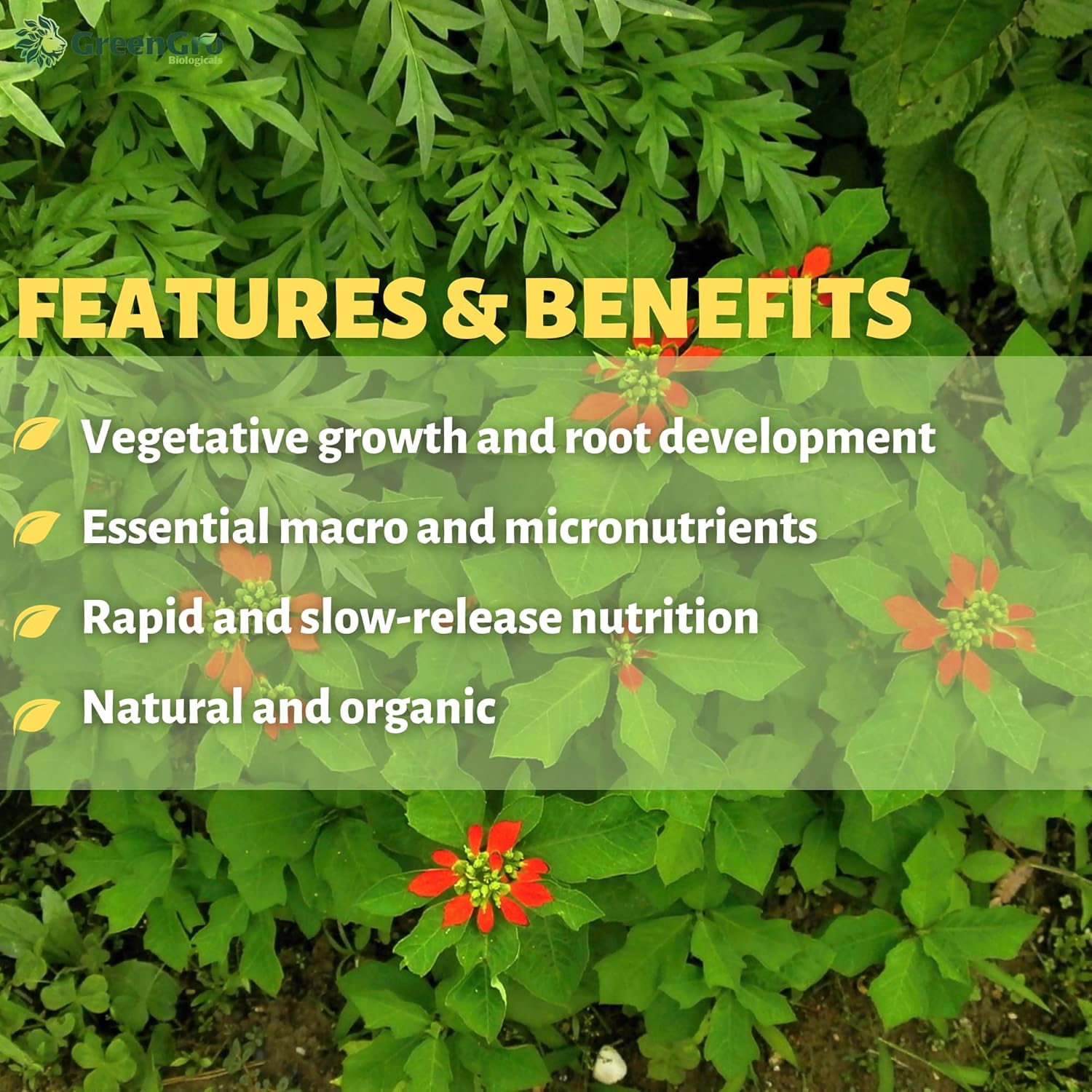GreenGro Pride Lands Veg Premium Organic Dry Top Dress Fertilizer for The Vegetative Cycle, Bigger Buds and Healthier Plants with Our Complete Veg Food, Easy to Use and All Natural, 5 lb