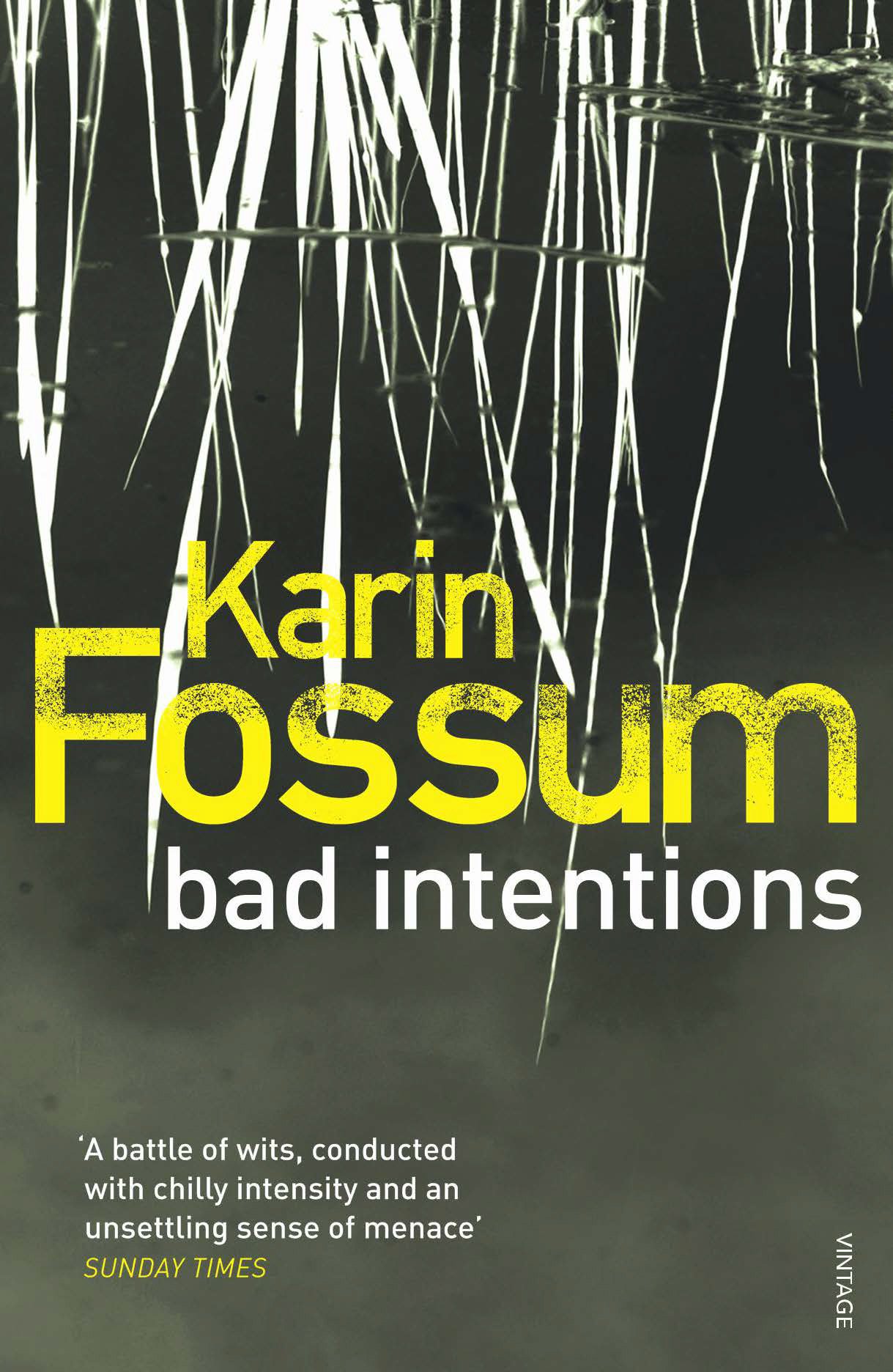 Bad Intentions (Inspector Sejer Book 9)