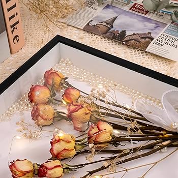 Amazon.co.jp: ブラックシャドウボックス 2個 ドライフラワー