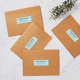 Avery Printable Address Labels with Sure Feed, 1" x 2-5/8", Pastel Blue, 750 Blank Mailing Labels (5980) – view 2