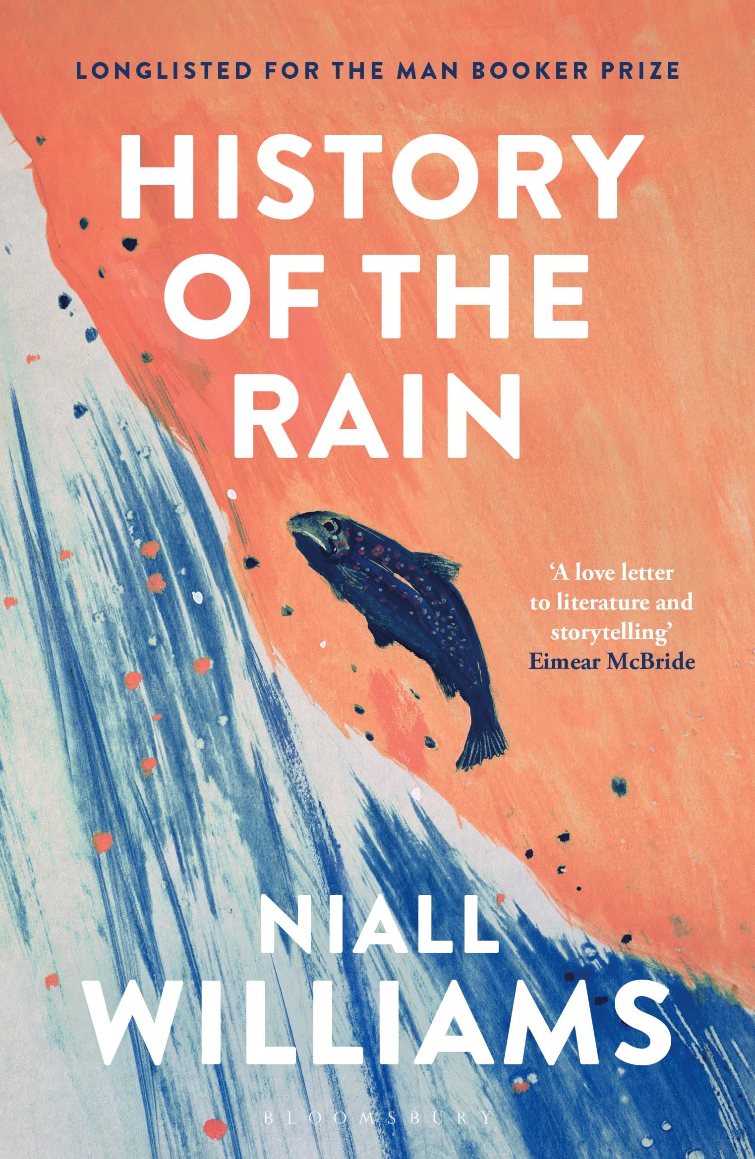 History of the Rain: Longlisted for the Man Booker Prize 2014 By Niall Williams