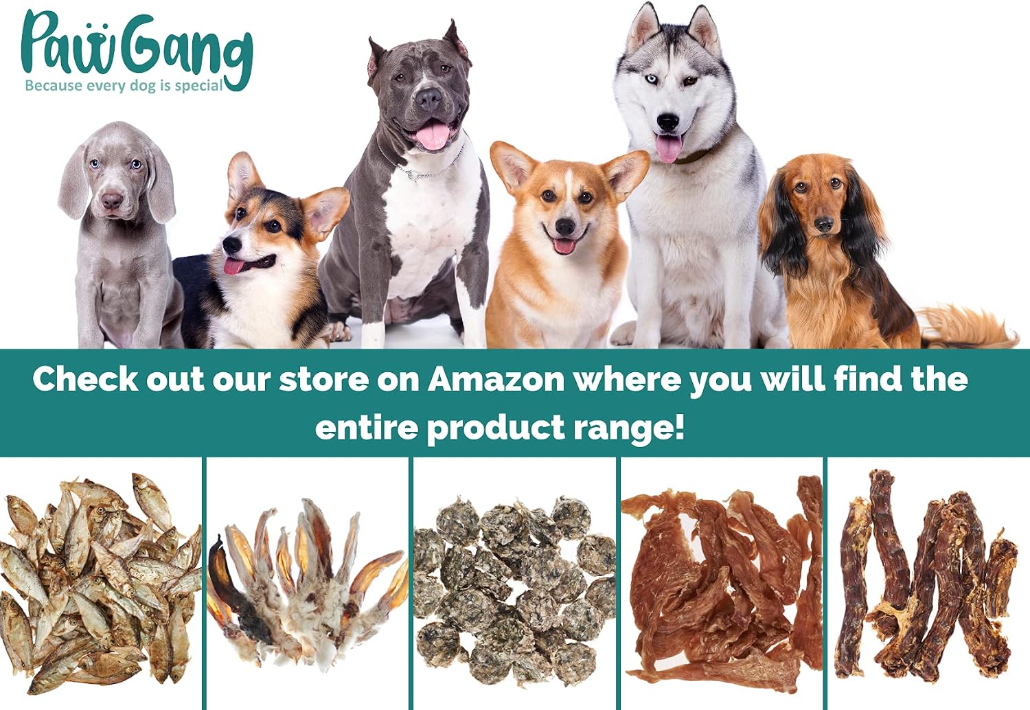 PawGang, Large Pig/Pork Ears 5 pcs, 100% Natural Treats for Dogs Young Adult Old Small and Large Dog, Air Dried Chews Snacks - Image 5