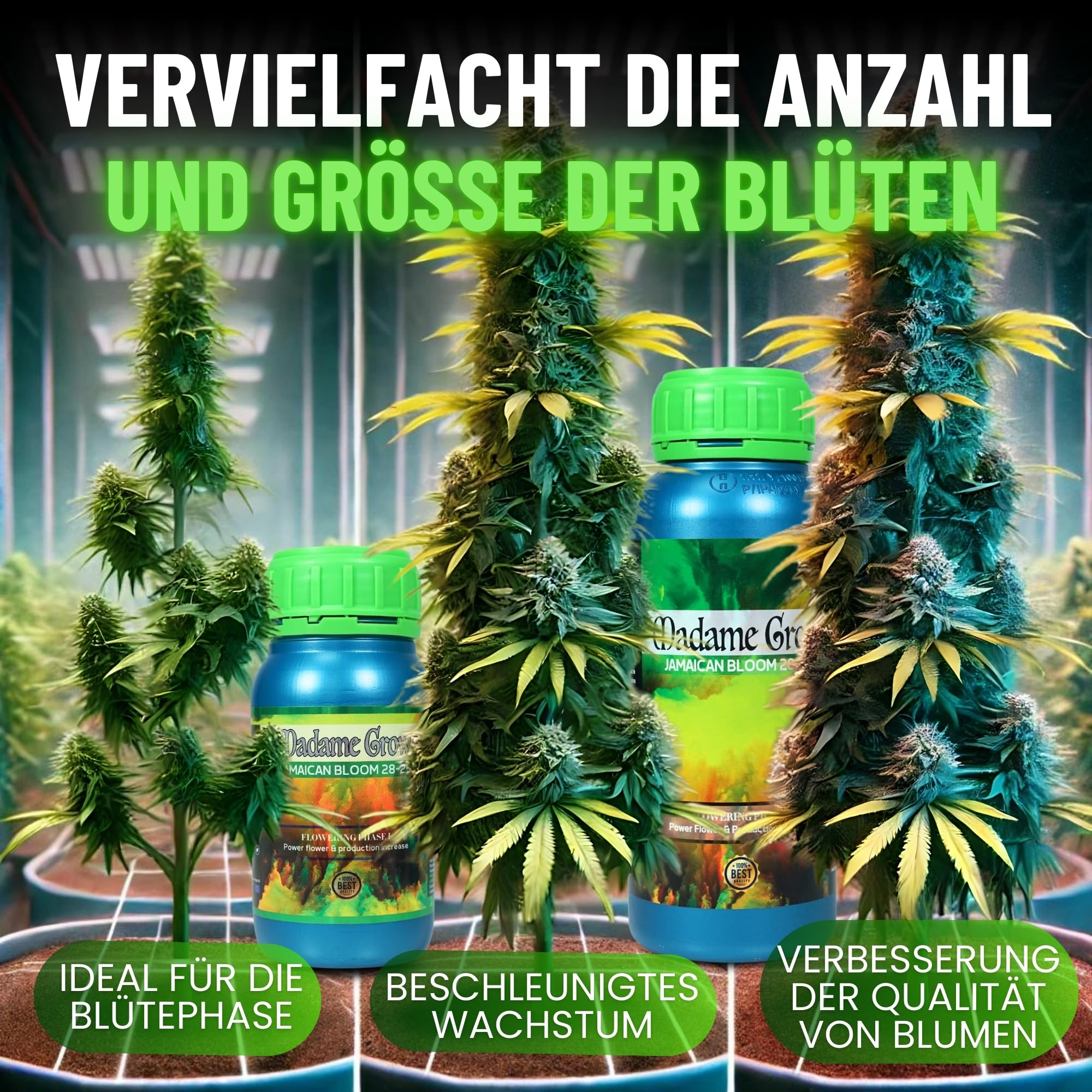 MADAME GROW dünger pflanzen - dünger pflanzen - dünger pflanzen grün - dünger pflanzen grün - substrat pflanzen grün - dünger für pflanzen - universal dünger - blattdünger(JAMAICAN BLOOM 1L)