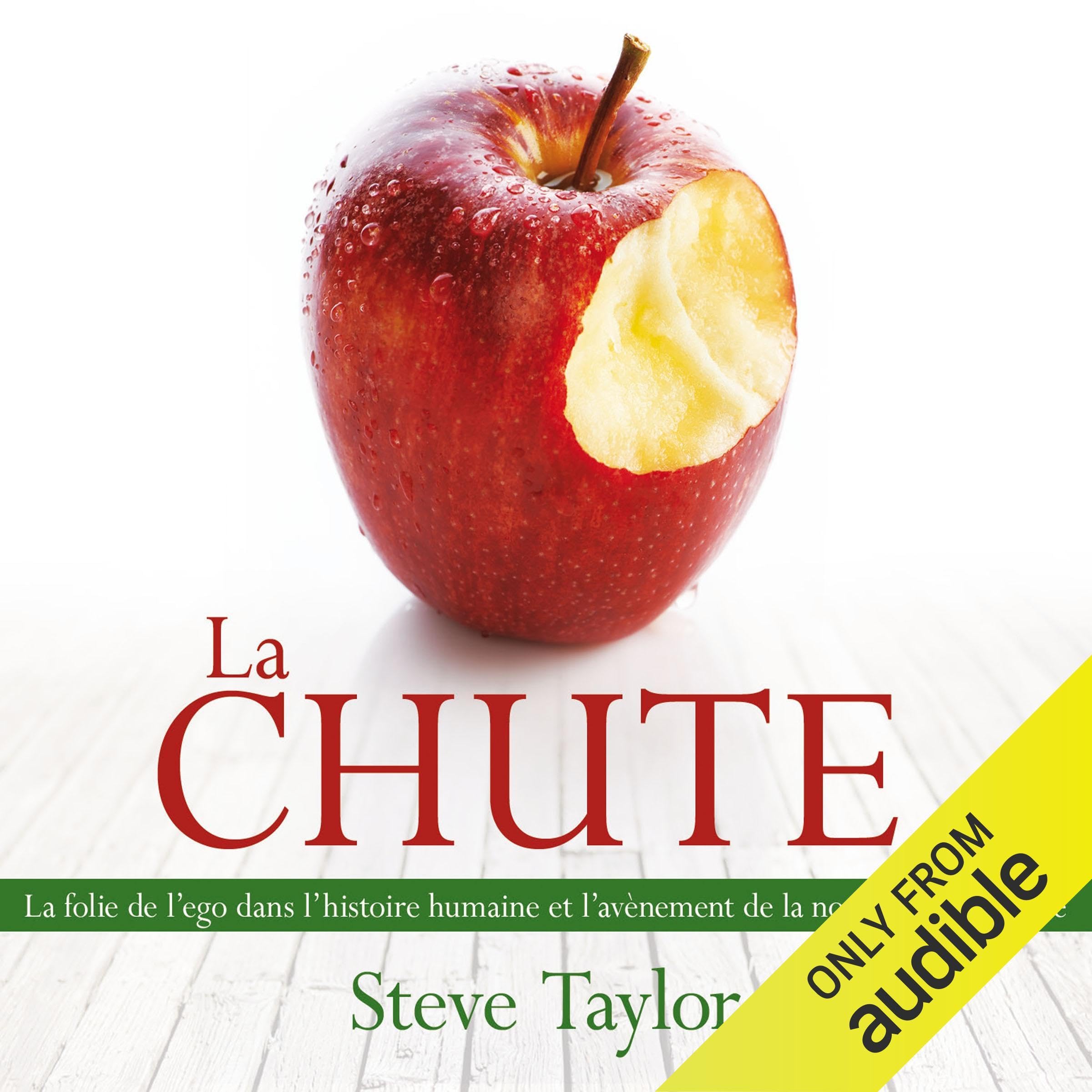 CD - La chute [Audio CD] Taylor, Steve