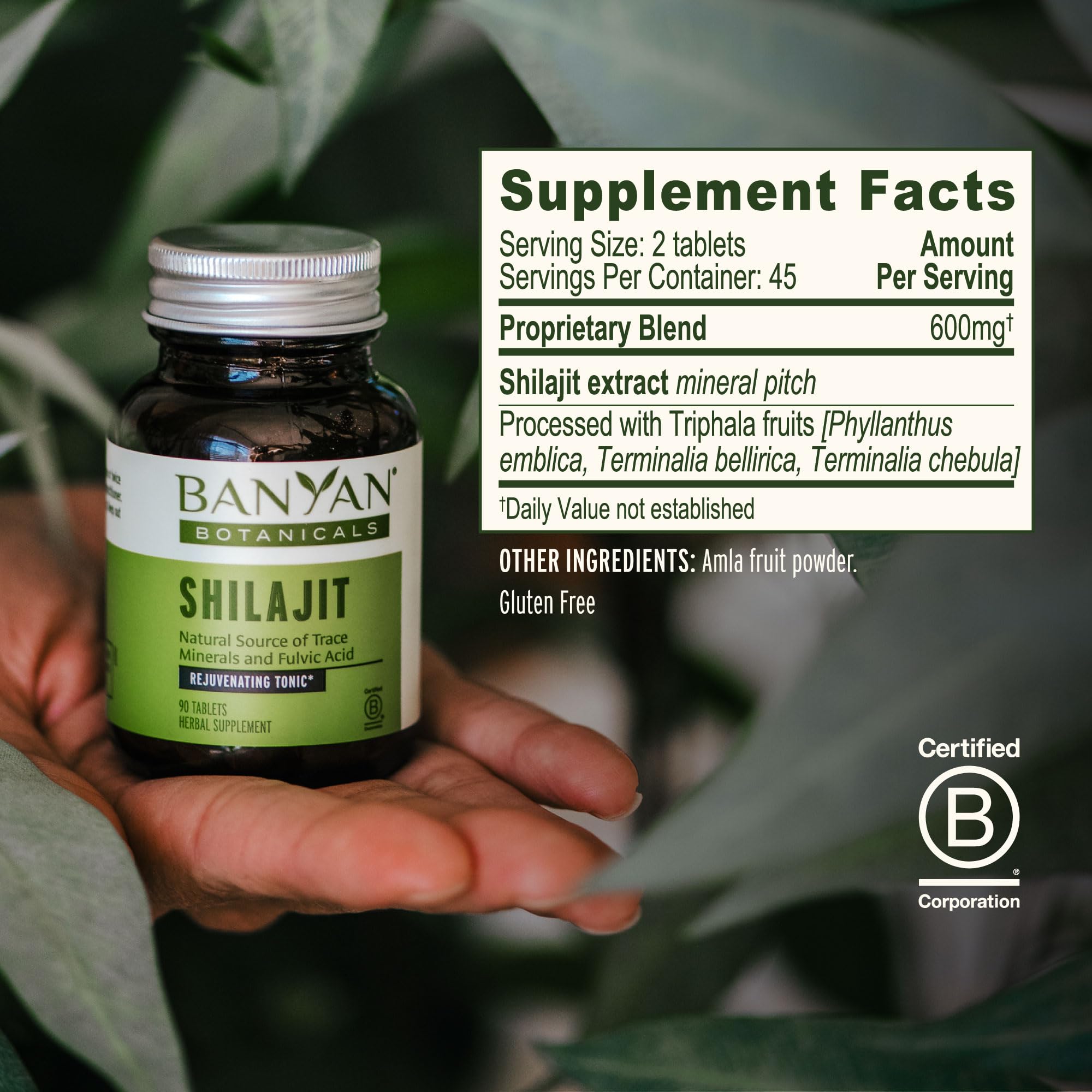 Banyan Botanicals Shilajit – 90 Pure Pressed Tablets for Energy & Vitality* — Amazon image 6