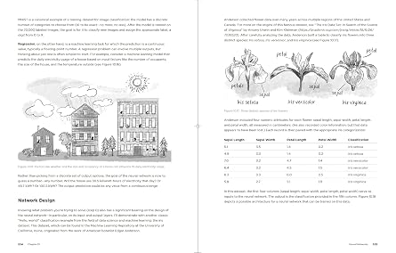 Nature of Code, The: Simulating Natural Systems with JavaScript
