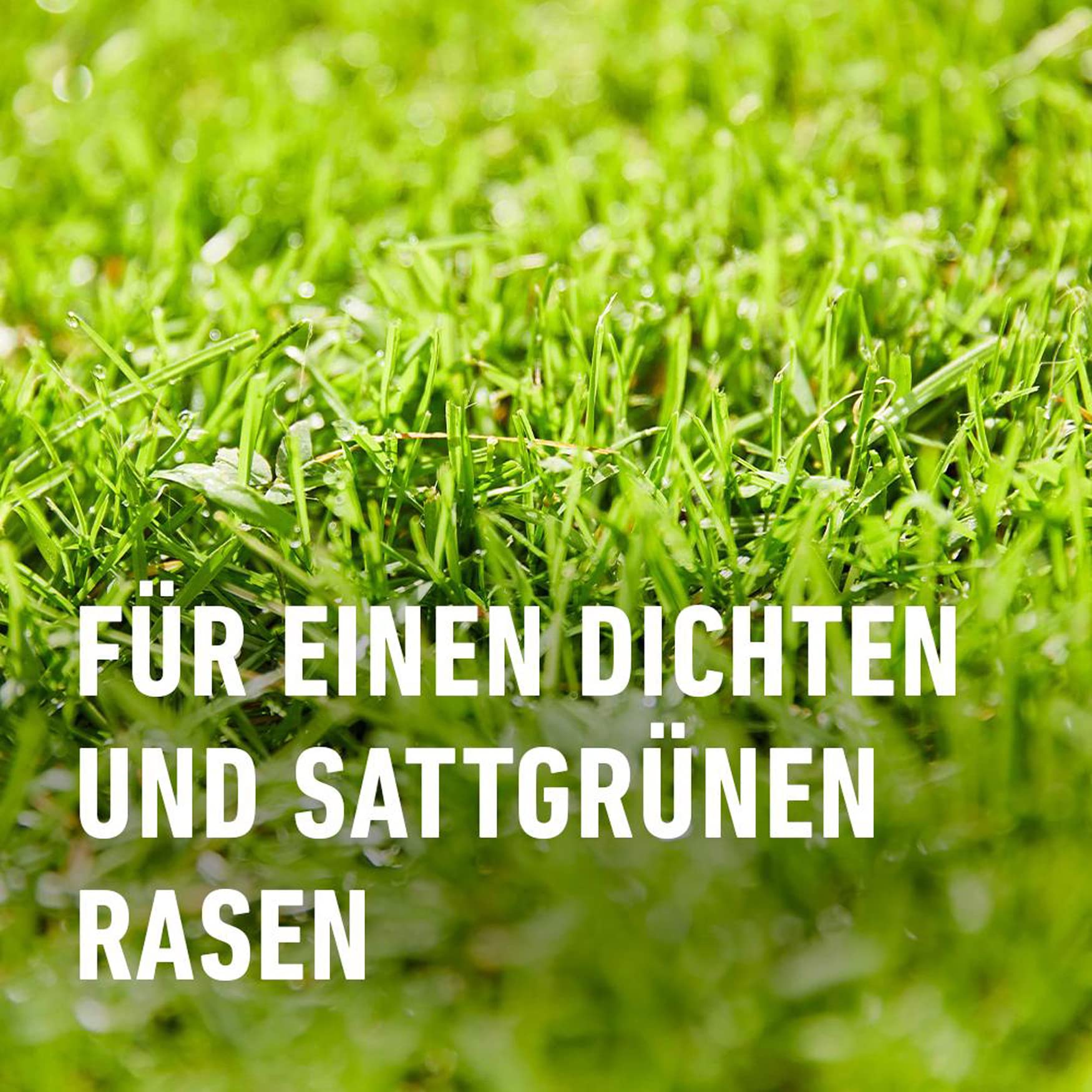 COMPO Trockenschäden-Mix 4in1-Rasenreparatur, Trockensaat, Dünger, Bodenaktivator und Mykorrhiza in einem, Rasendünger und Rasensamen / Grassamen, 5 kg, 100 m²