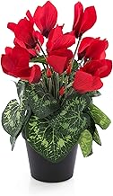 artplants. de Artificial Flower Cyclamen in Pot, 12 Flowers, Red, 25 cm, Mini Artificial Flowers, Decorative Flowers, Small