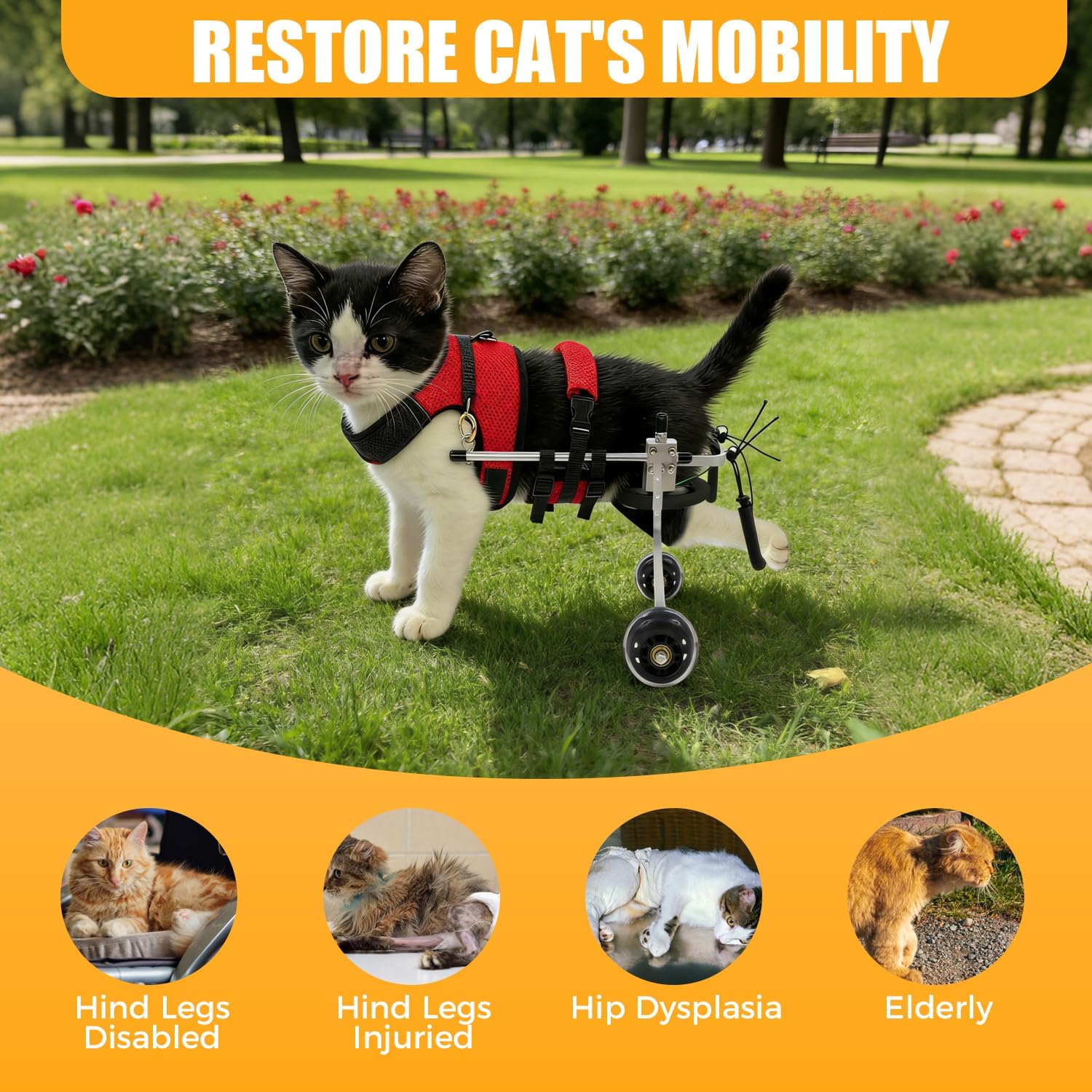 Cat Wheelchair for Back Legs, Lightweight Adjustable 2 Wheels Pet Wheelchair for Aging, Disabled, Injured Cats with Hind Leg Weakness, Fits 3.3-5.5 lbs, 6-12 Months Cats - Size S