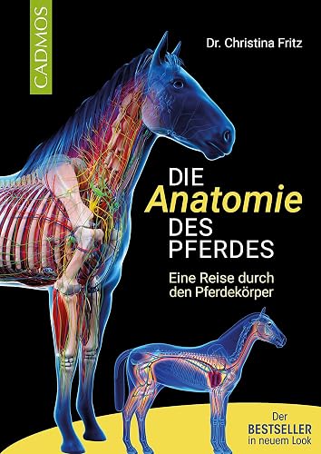 Die Anatomie des Pferdes: Eine Reise durch den Pferdekörper