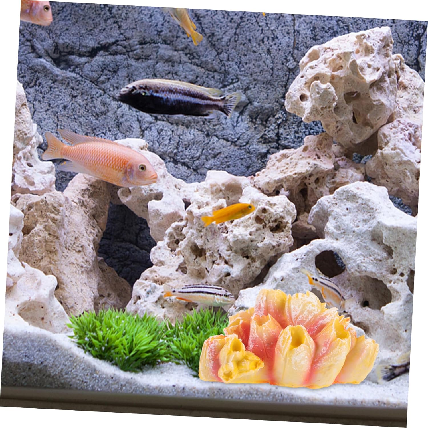 BESPORTBLE 5pcs Artificial Coral Figurine for Fish Tank Decorative Underwater Coral Statue Craft for Aquarium Lifelike Sea Anemone Ornament for Natural Aquatic Landscape