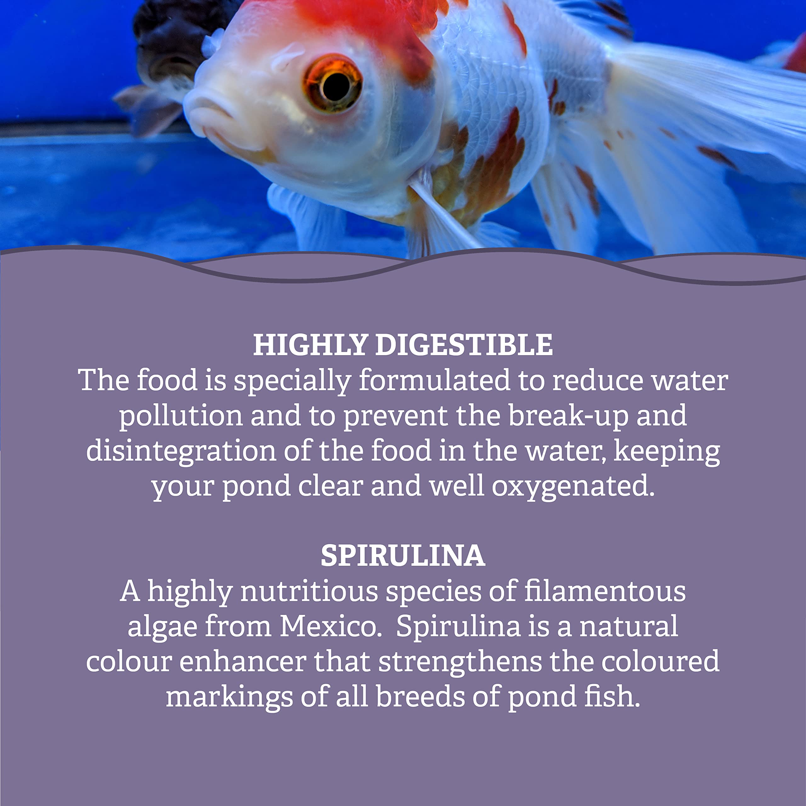 Pets Choice | Alimento para Peces, multipalitos | Flotante, Altamente digerible y no enturbiante | Espirulina añadida para Mejorar el Color (5 kg)