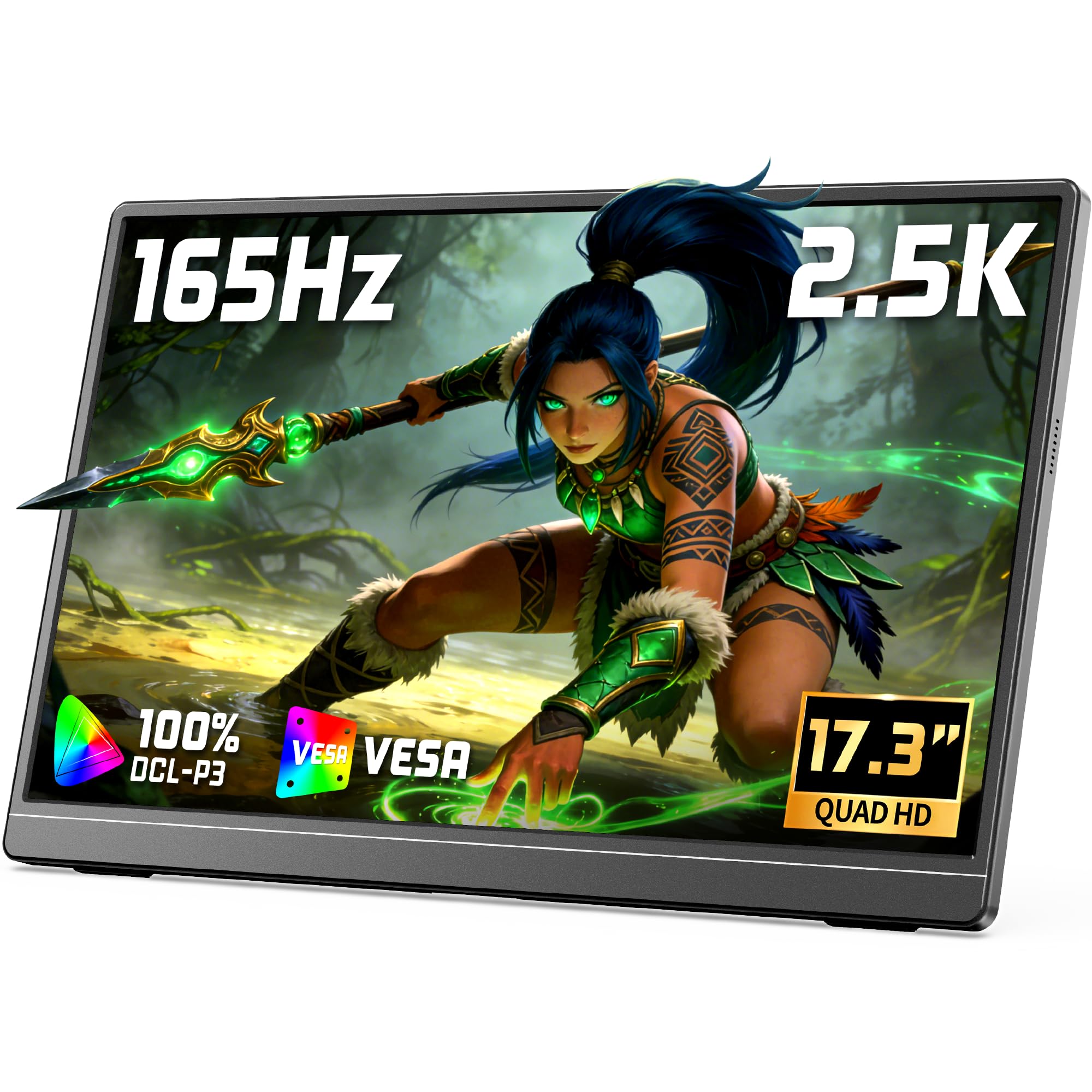 VILVA 17.3" QHD 165Hz USB-C HDMI Gaming Monitor