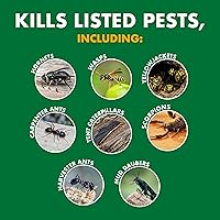 Vista 3 de Spectracide Aerosol asesino de avispas y avispones mata avispas, avispones y chaquetas amarillas al contacto y elimina el nido, paquete de 12