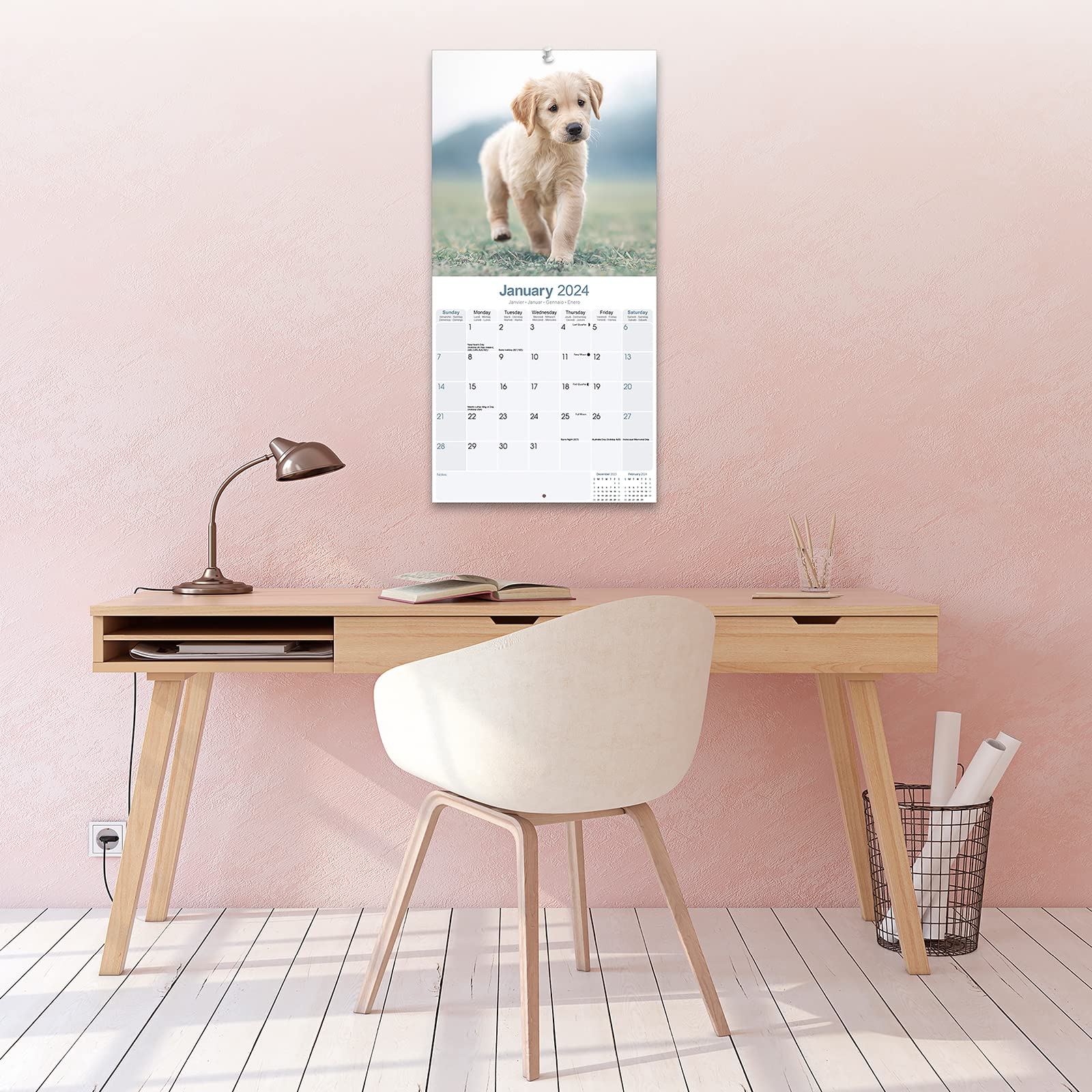Golden Retriever Puppies - Golden Retriever-Welpen 2024 - 16-Monatskalender: Original Avonside-Kalender [Mehrsprachig] [Kalender] (Wall-Kalender)