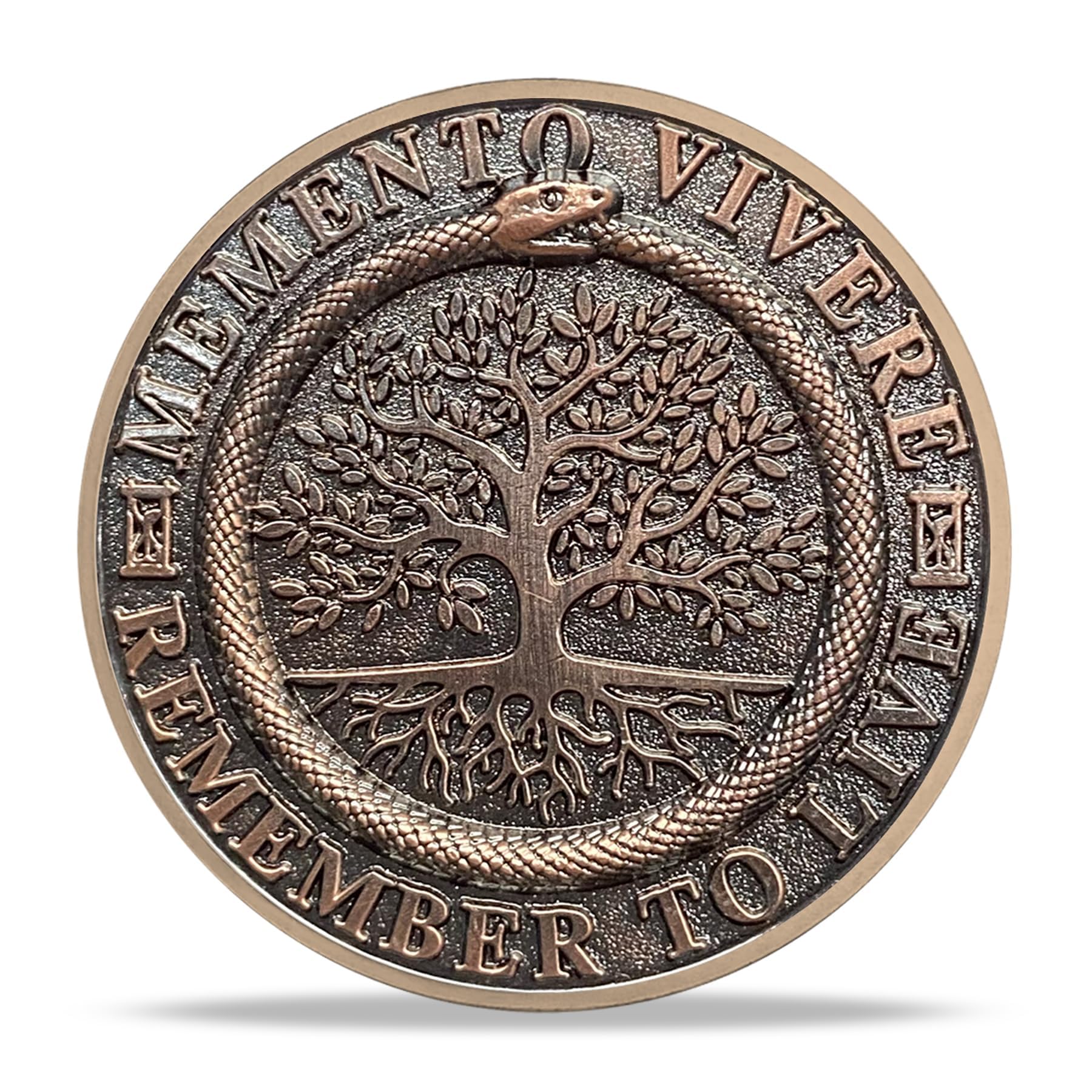 Memento Mori Coin Memento Vivere Remember to Live Skull and