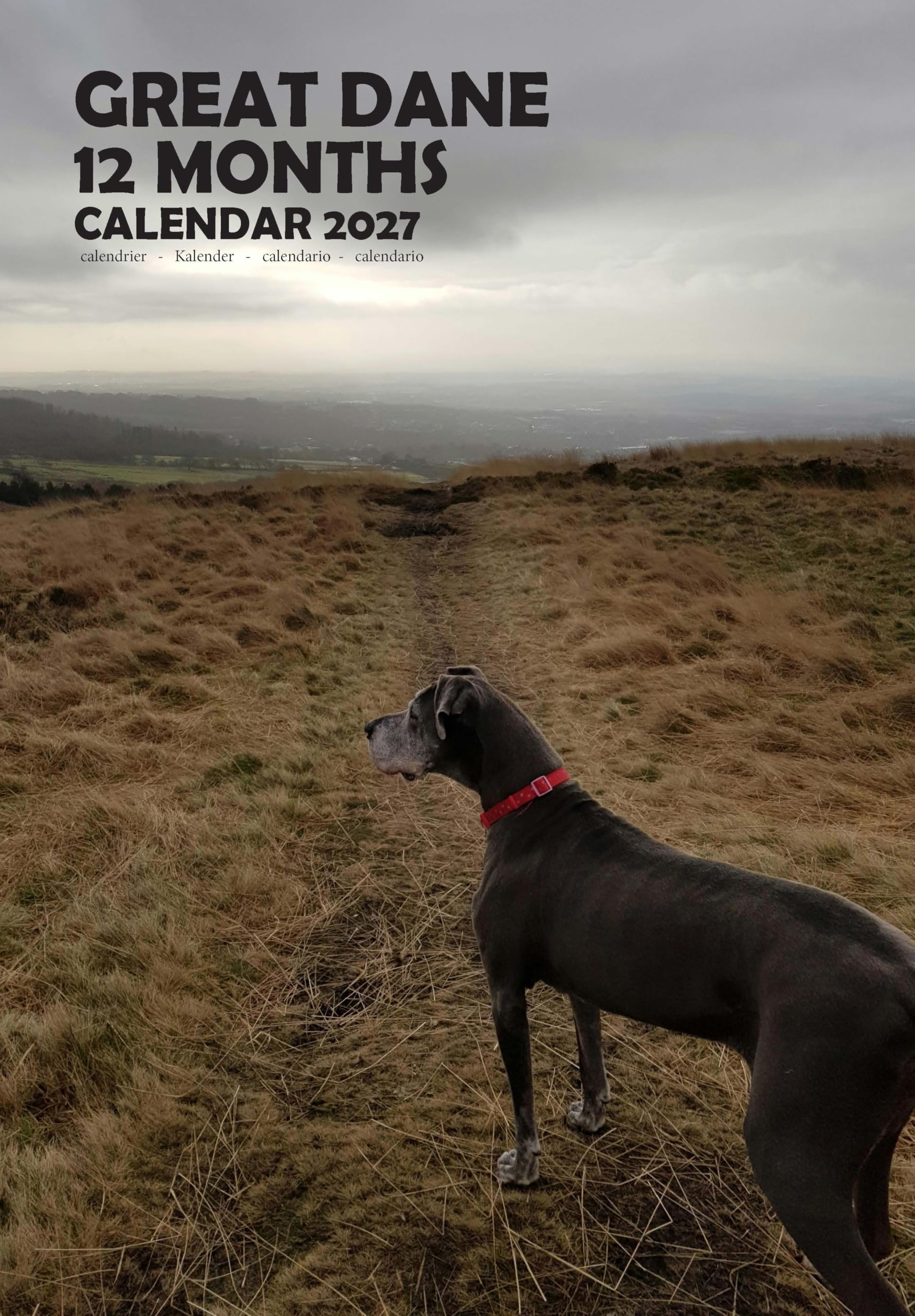Calendario 2027 de Great Danés A3 con espiral mensual de pared MPRA 3