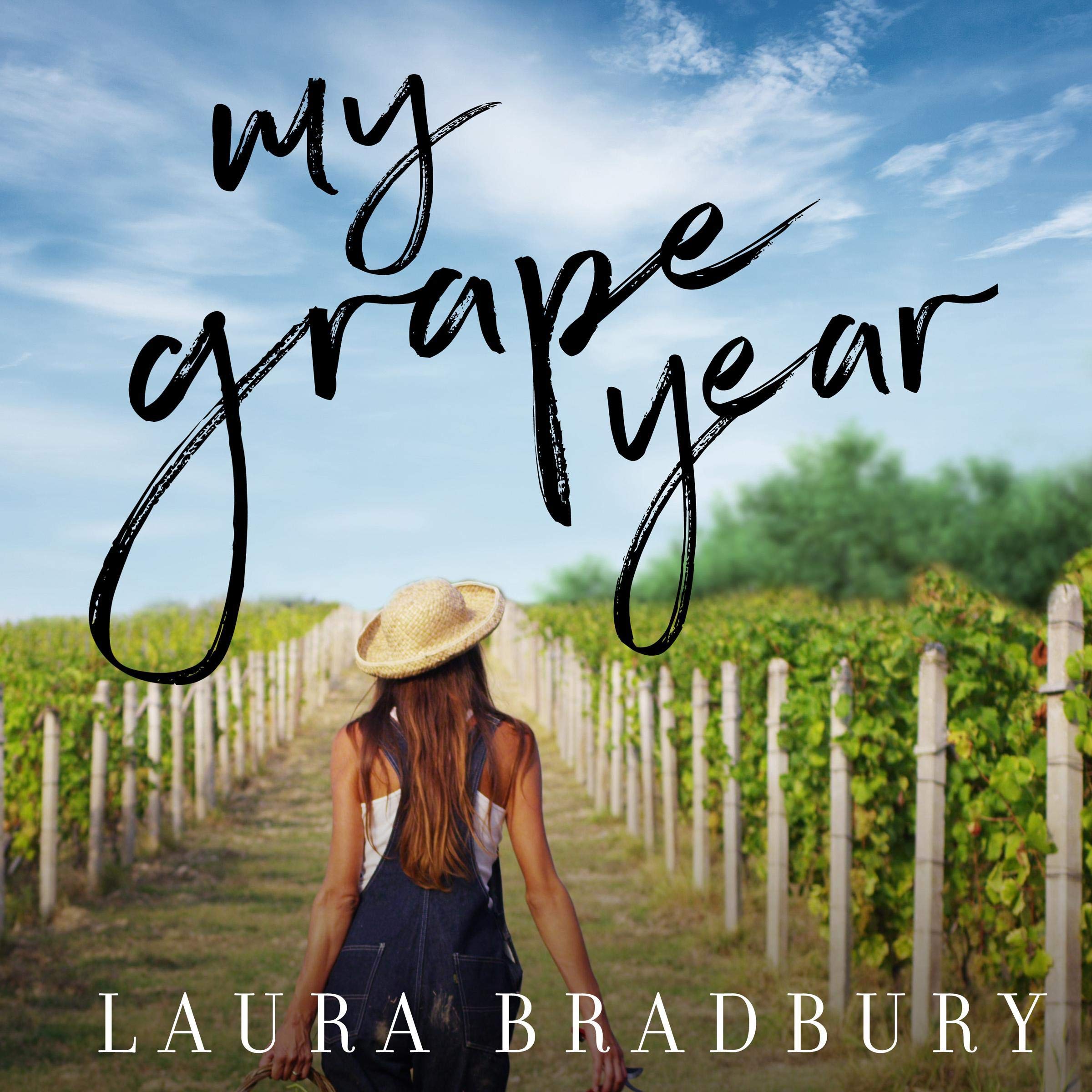 Cover art for My Grape Year