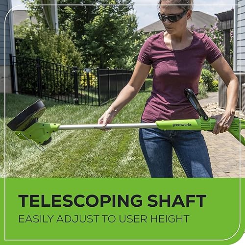 Miniatura 7 de Greenworks Desbrozadora