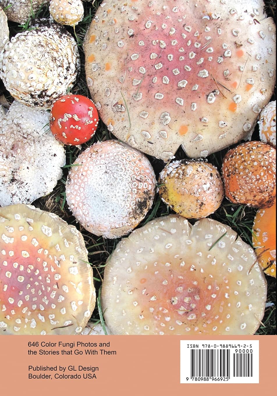 Profiles of Northwest Fungi