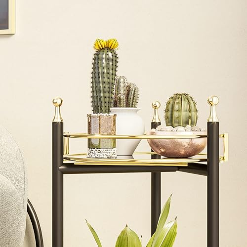 Miniatura 8 de BENOLDY Mesa de soporte para plantas de 2 niveles, marco de metal negro con 2 bandejas portátiles doradas, soporte para plantas, bandeja para