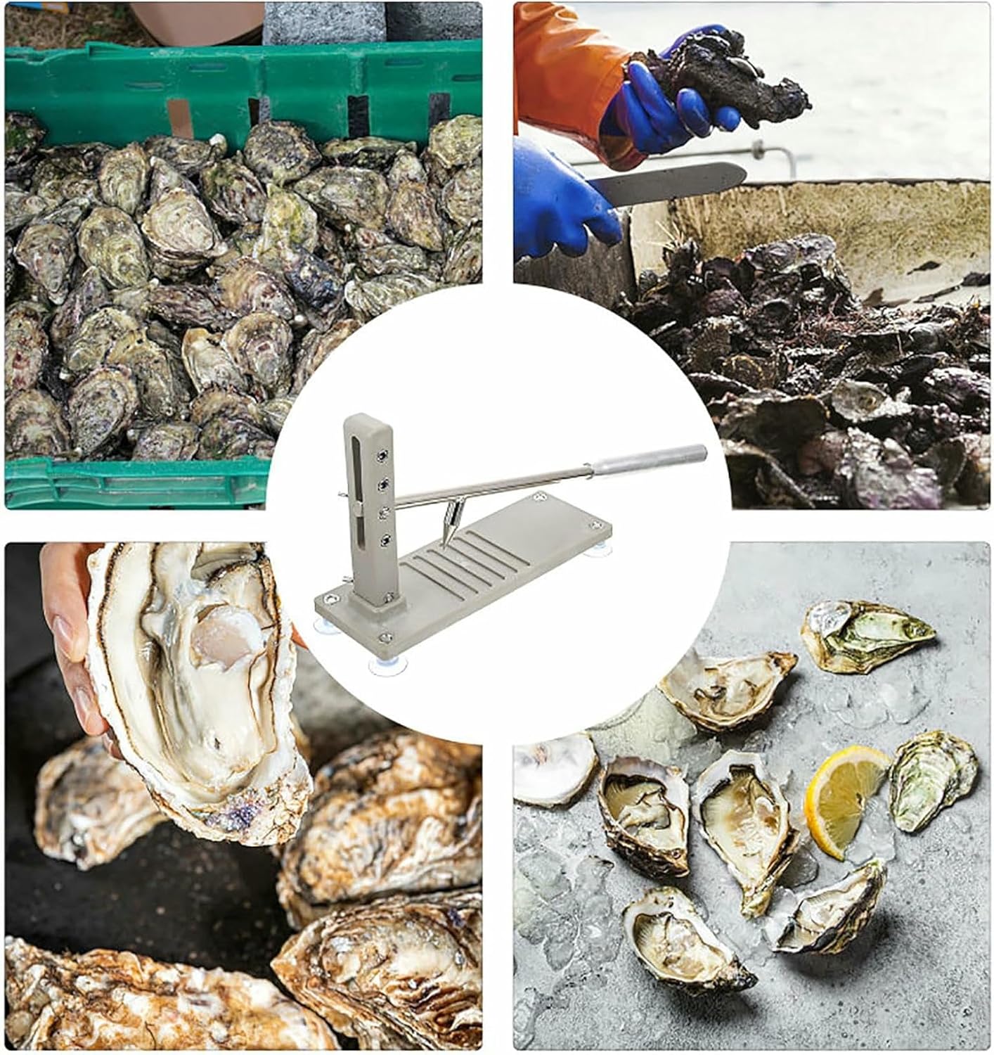 Oyster Shell Opener Machine,Oyster Opener Set Clam, Seafood Tools, for Open Oysters Abalone Shellfish