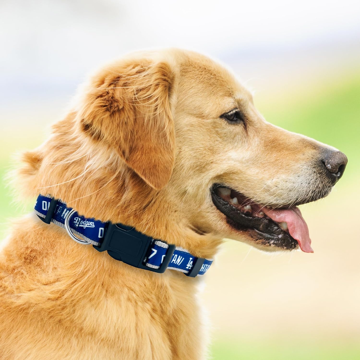 MLBPA Dog Collar - Shohei Ohtani #17 Pet Collar - MLB Los Angeles Dodgers Adjustable Dog Collar, Size Medium