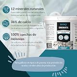 Ver la foto 2