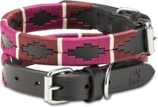 Jack & Russell Dog Collar Leather - Polo Design, Handmade & Adjustable - Premium Leather Collar for Small and Large Dogs, Pablo (XL (46-58cm)