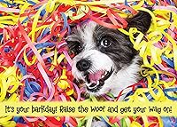 Vista 15 de Glory To Dog Te conseguí un pastel de cumpleaños y estaba delicioso Feliz cumpleaños de La Tarjeta de cumpleaños de perro con sobre de felicitación