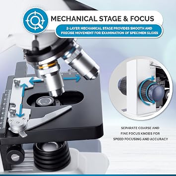 AmScope B120C Series Student & Professional LED Binocular Compound Microscope - 40X-2500X Magnification - Features Siedentopf Head & 3D Mechanical Stage