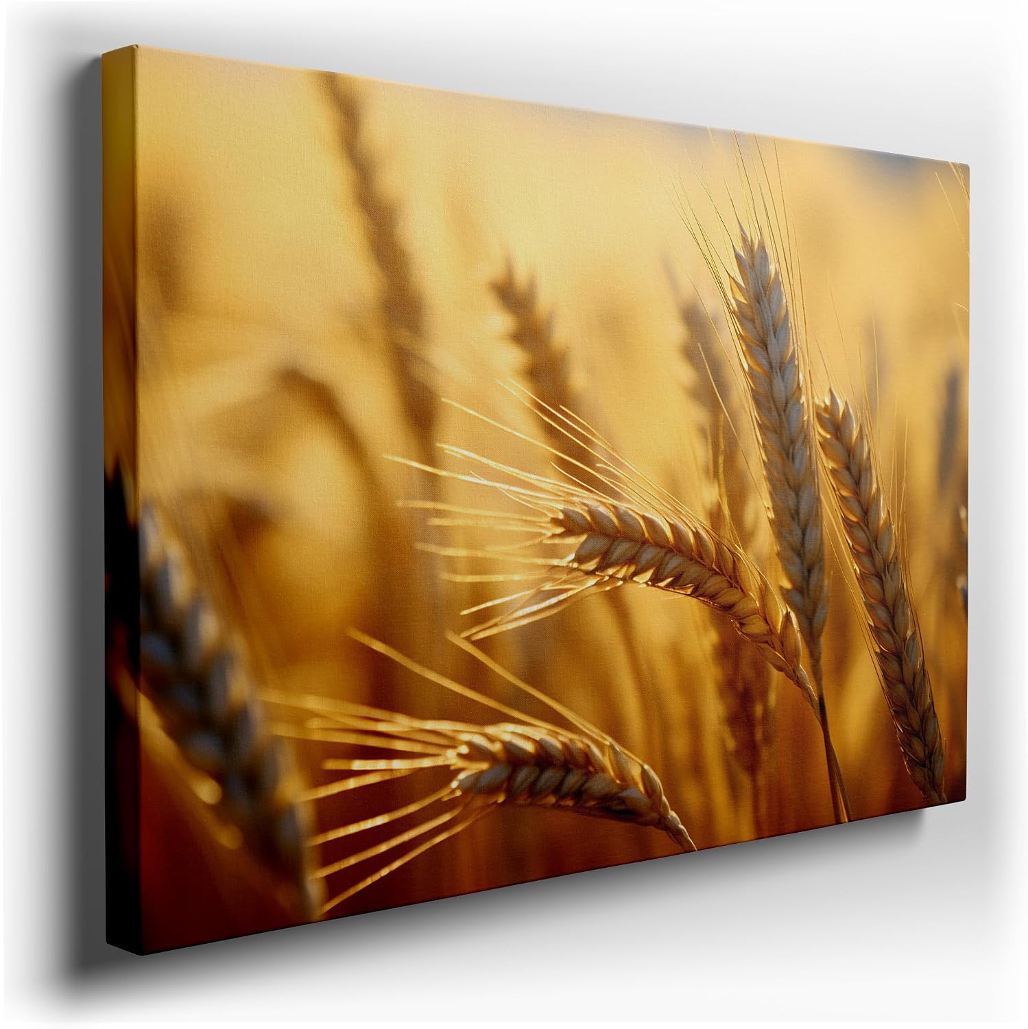 Canvas for Living room. Golden Splendor: An Intimate Glimpse of a Sun-Kissed Wheat Field, 27 x 18 inch Canvas Wall Art - Contemporary Masterpieces - Modern Home Decor - 69x46 cm (27x18 inch)