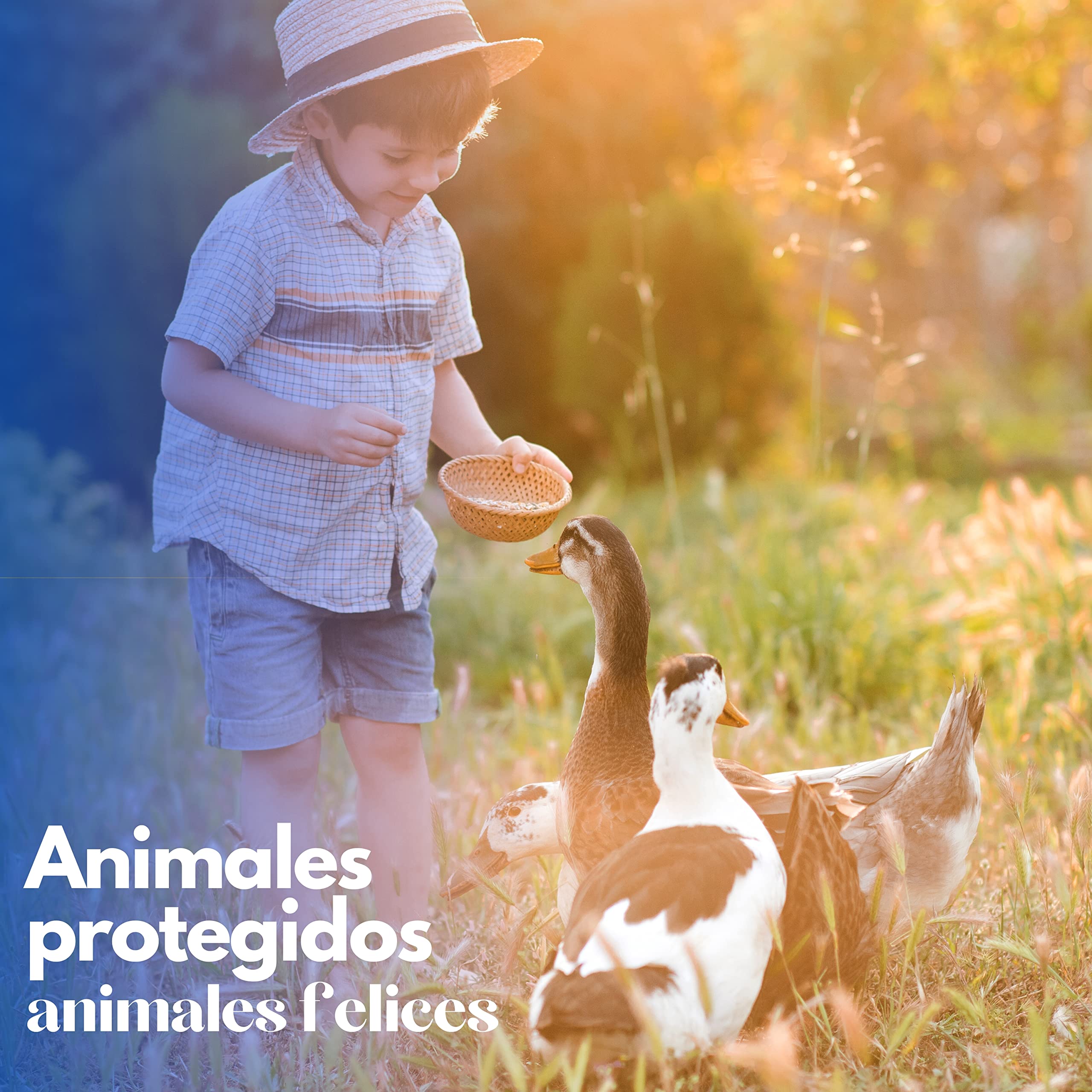 Caseta para Patos - Nido Pequeño para Patos - Refugio de Exterior Fabricado en Madera tratada, Muy Estético