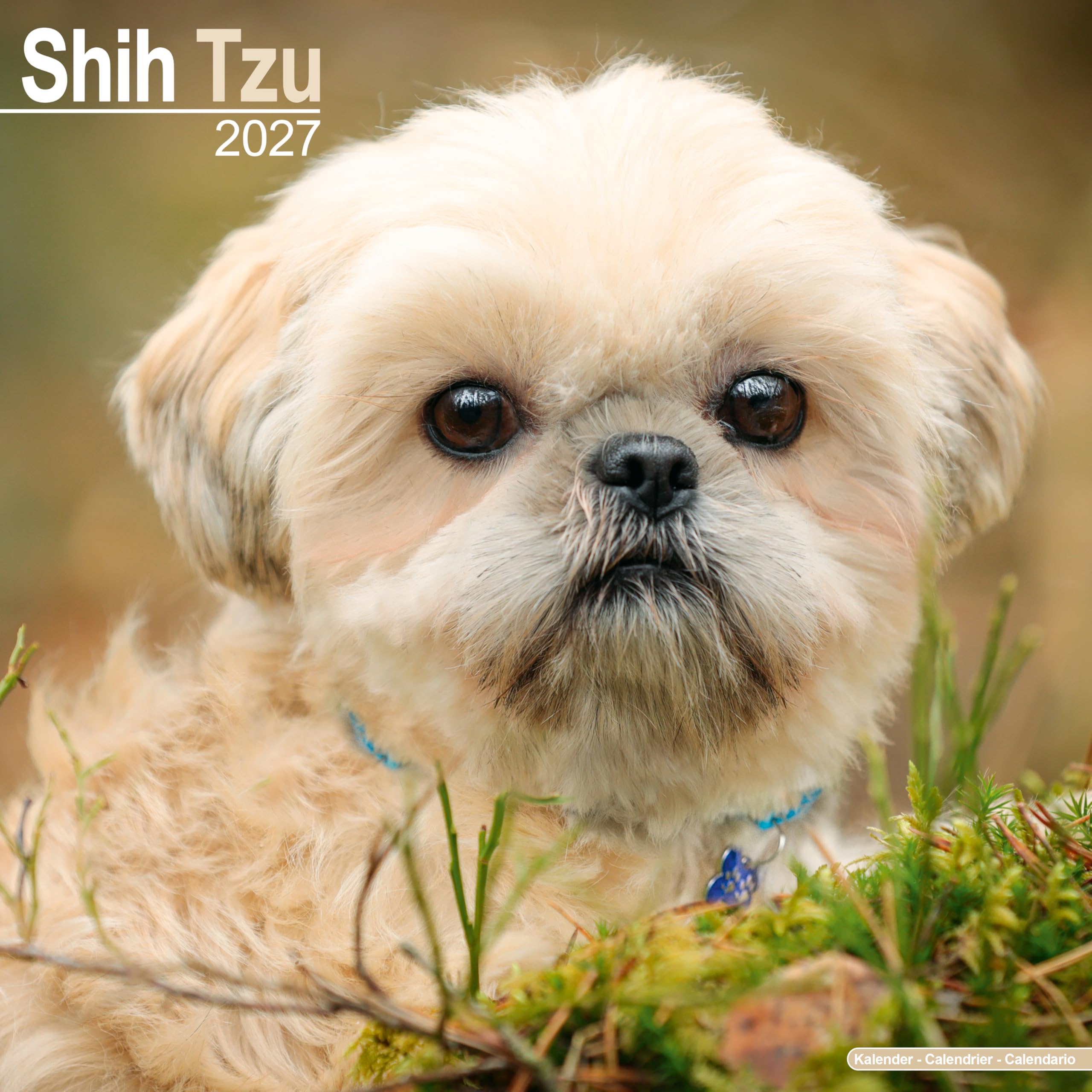Shih Tzu Calendar 2027