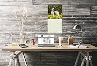 Vista 1305 de Razas de Perros 2017