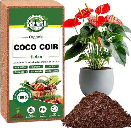 Miniatura 8 de Halatool 10 piezas de ladrillos de coco orgánico de fibra de coco comprimido, ladrillo de coco nutritivo, suelo de jardín con bajo equilibrio de EC