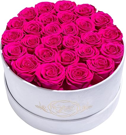 27 Flowers in a Luxury Suede Box, Birthday Gifts for Women, Preserved Flowers, Mothers Day Roses Gift for Mom, Hot Pink