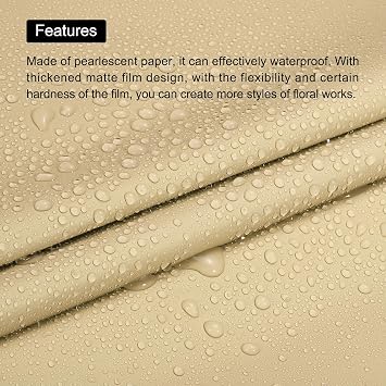 MECCANIXITY Pearlescent Film Flower Wrapping Paper 22.8x22.8 Inch Waterproof for DIY Crafts, Gift/Gift Box Packaging Beige Pack of 10