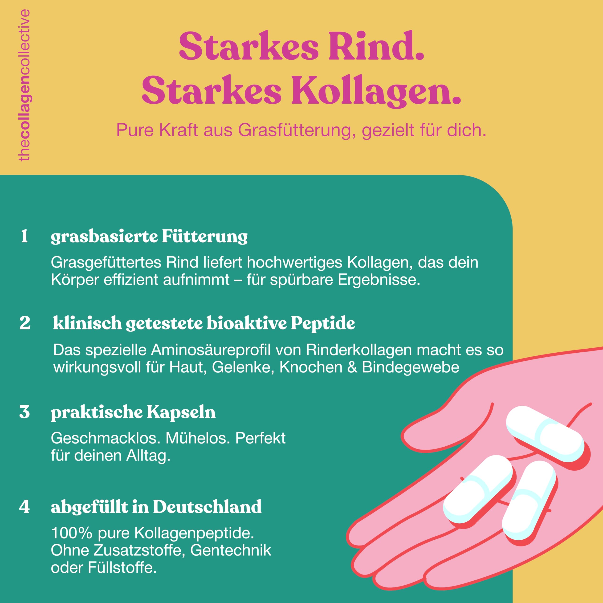 Rinderkollagen Kapseln - Hochdosiert Kollagen Peptide vom Rind, Bioaktives Kollagenhydrolysat für Beauty Haut Haare Nägel Inner Glow (3 Pack)