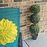 Review Image by Felicia Phelps Felicia Phelps