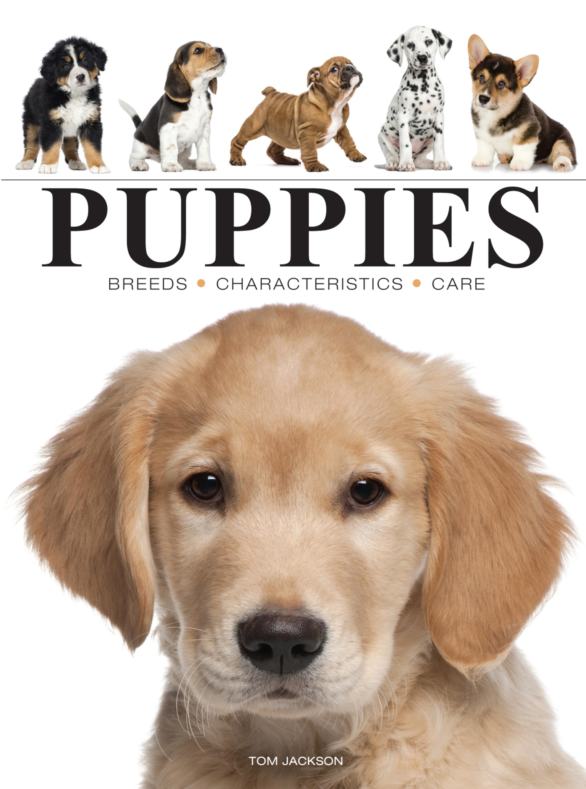 Puppies by Tom Jackson (Paperback Book)