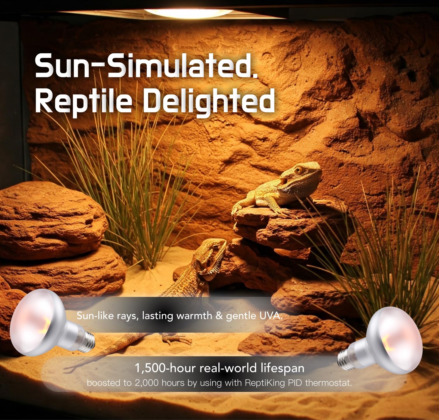 Reptile Heat Lamp, 100W 2-Pack Incandescent Basking Spotlight Bulbs for Reptiles Terrarium Tanks, Reptile Heat Bulb for Infrared Light, Bearded Dragon Heat Bulbs (100W) - image 2