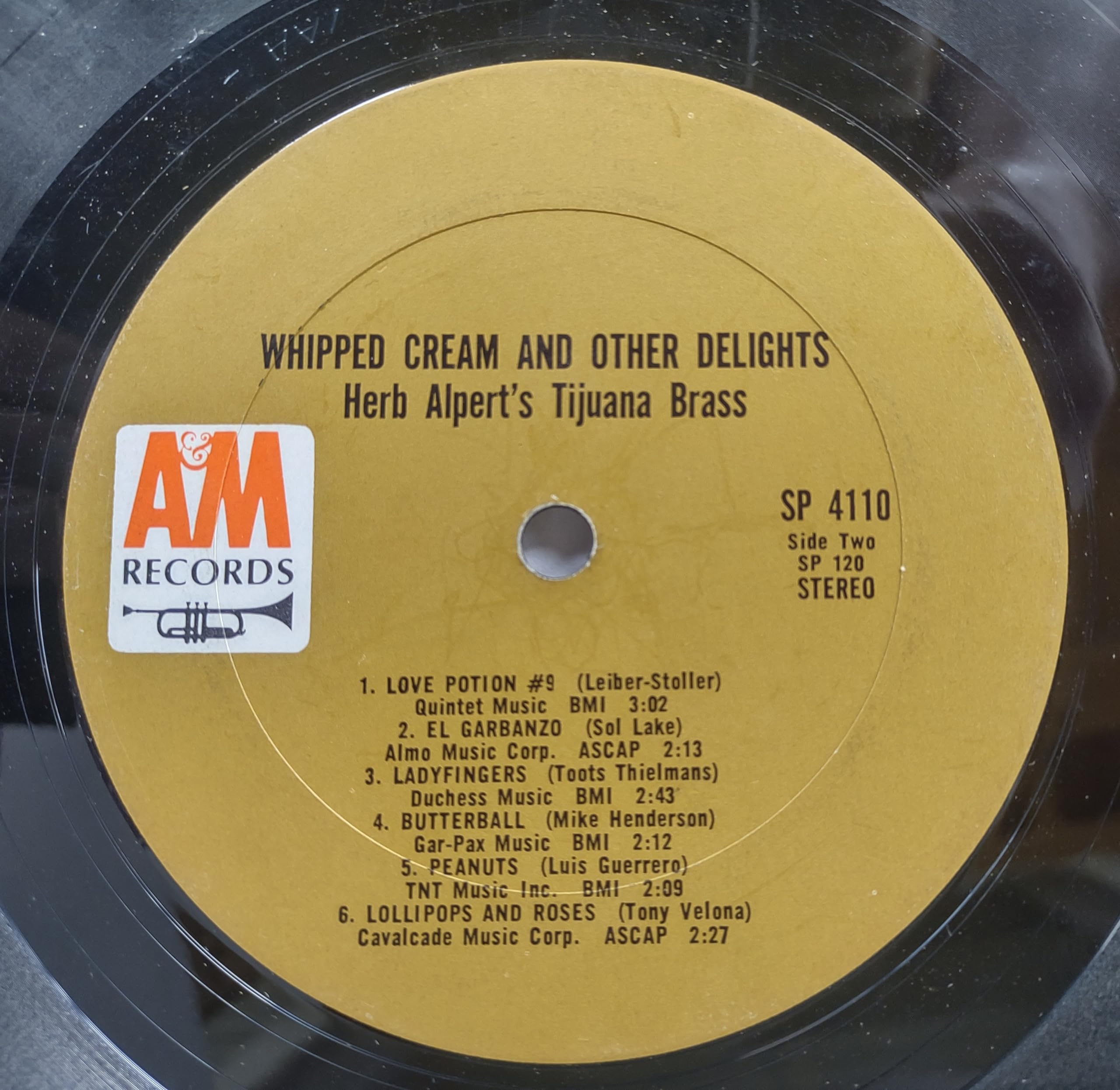 Whipped Cream & Other Delights