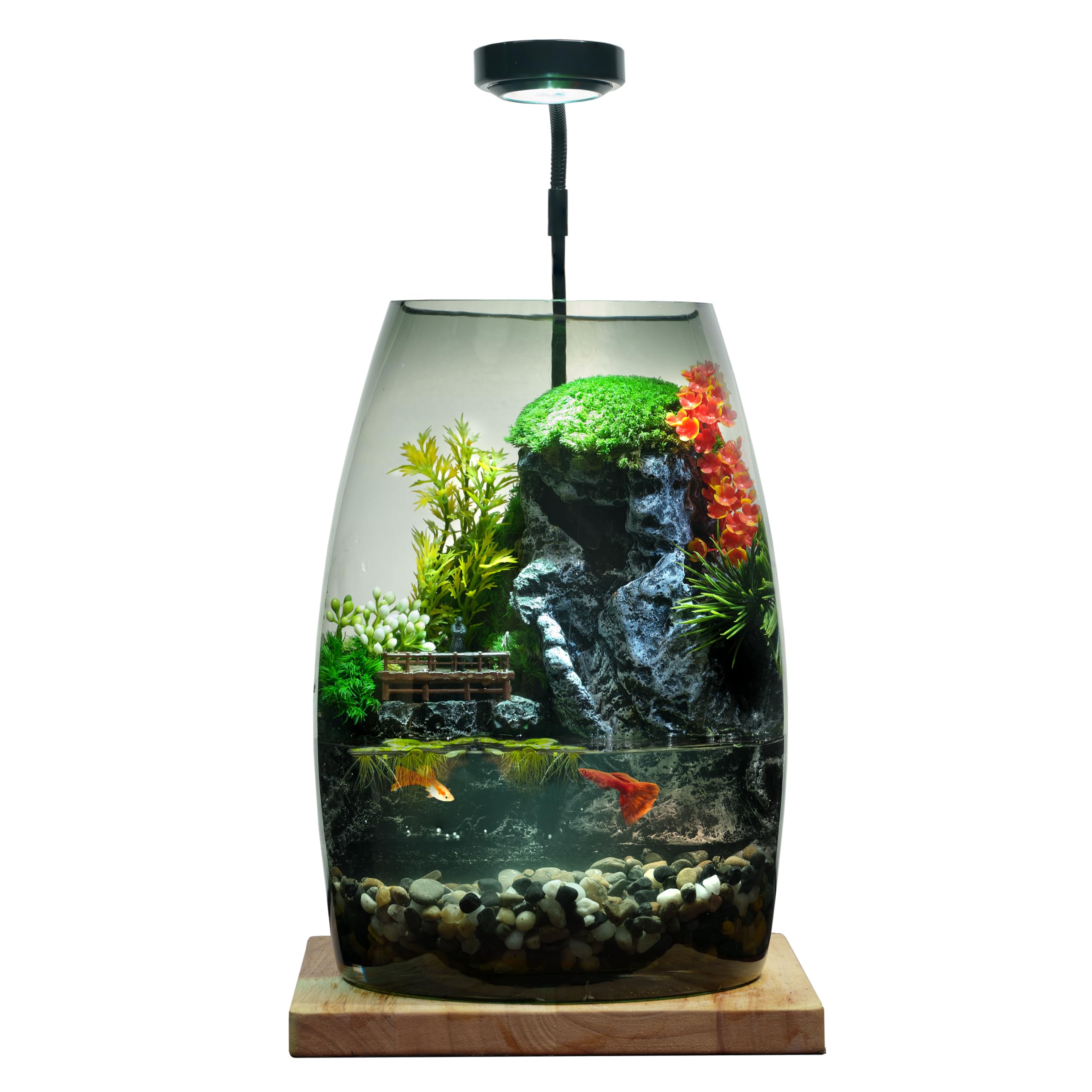 水を入れるだけですぐに始められる ミニチュアランドスケープアクアリウムAセット 水を入れるだけですぐに始められる ミニチュア・ランドスケープ