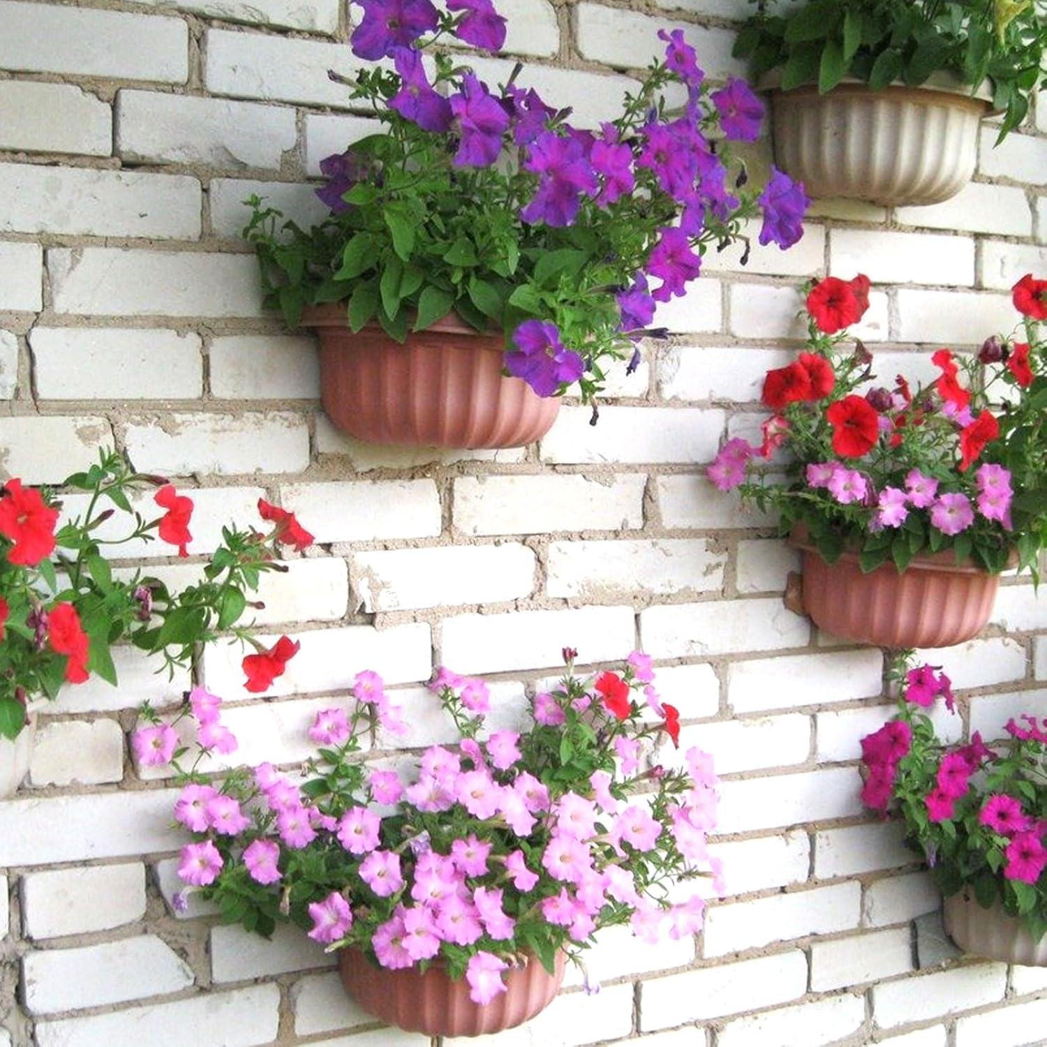 Flower Pot Clips, 18 Pack Terracotta Pots Hangers, Standard 3.5 to 8 inch Wall Clay Pots Holders, Hanging Terracotta Pots Indoor Outdoor Wall Fence Railing, Flower Pot Clips with 18 Screws (Black)