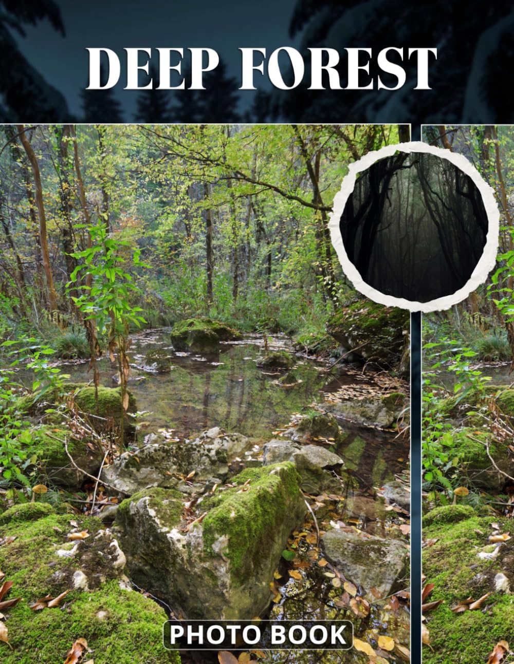 Deep Forest Photo Book: Enchanting Woodland Photography Capturing Lush Greenery Moss-Covered Trees And Sunlight Peeking Through Canopy In Serene Nature Images